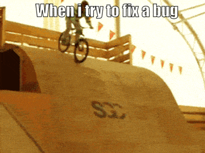 Programmer trying to fix a bug